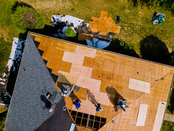 Roof Gutter Cleaning in San Augustine, TX