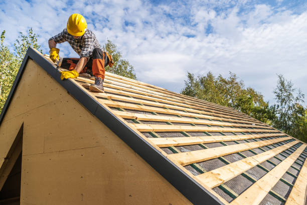 Best Gutter Installation and Roofing  in San Augustine, TX